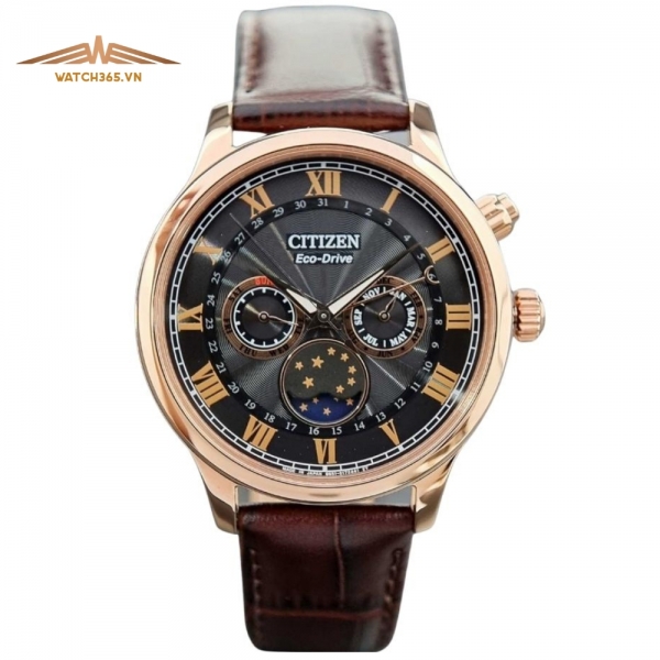 CITIZEN ECO-DRIVE MOONPHASE AP1059-19E - NAM - KÍNH SAPPHIRE - DÂY DA - AUTOMATIC - SIZE 42MM - MÁY NHẬT