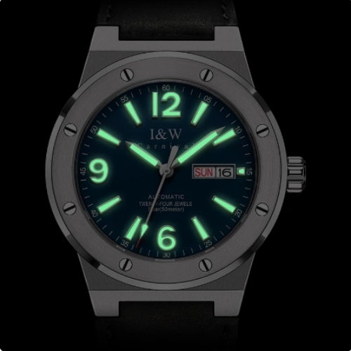 CARNIVAL I&W 589G-VT-X1